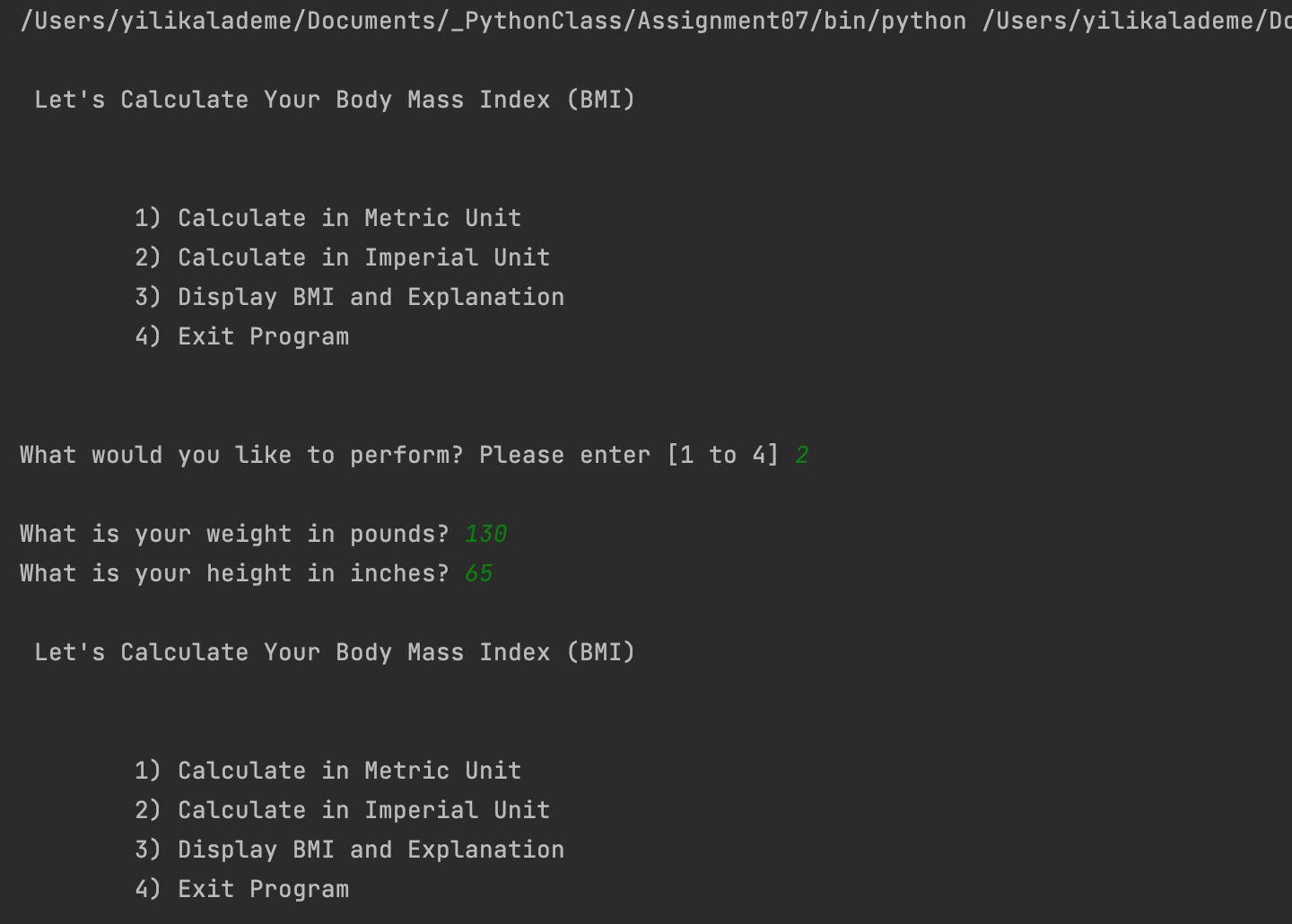 BMI script run in PyCharm