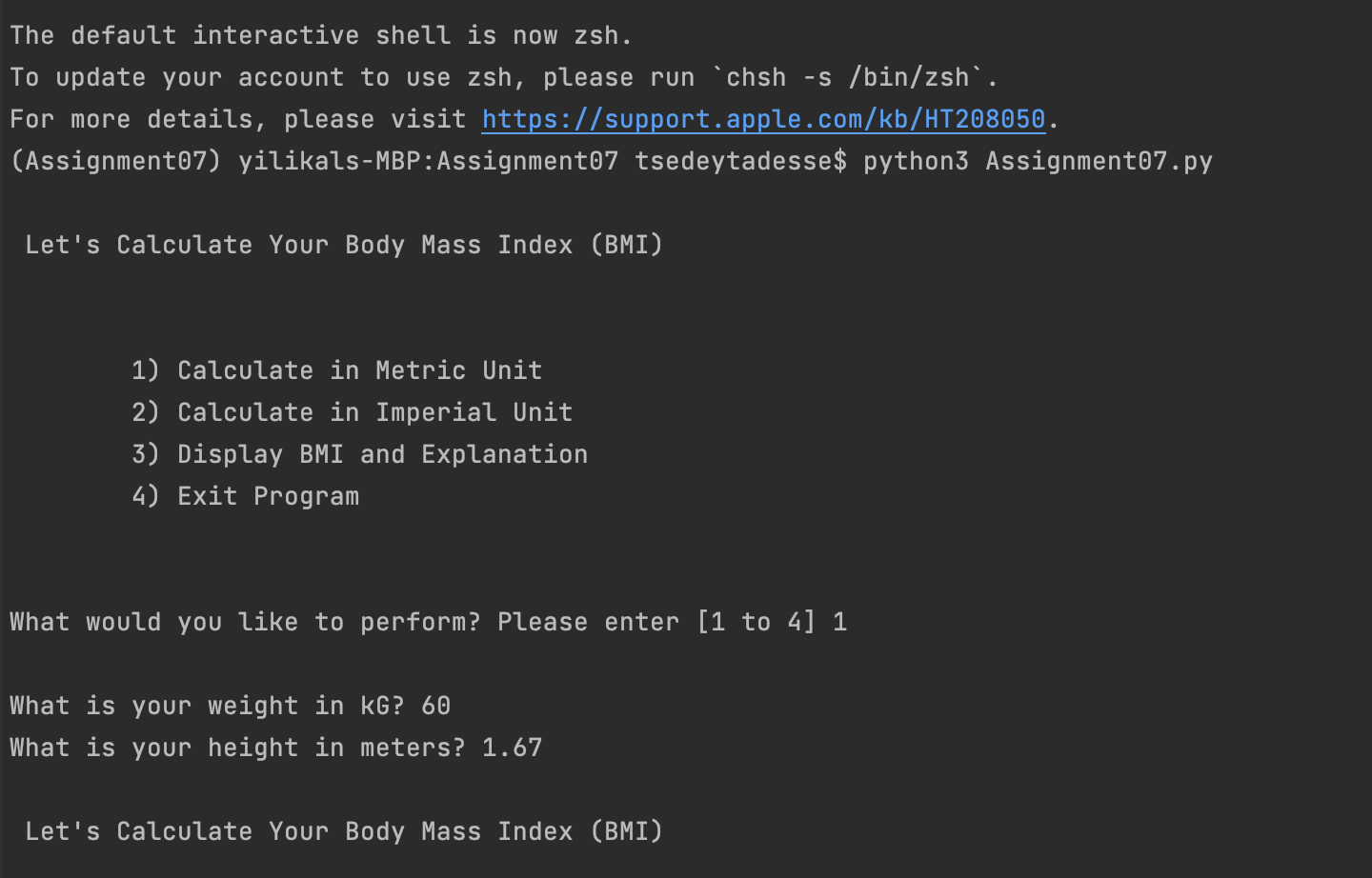 BMI script run in Terminal