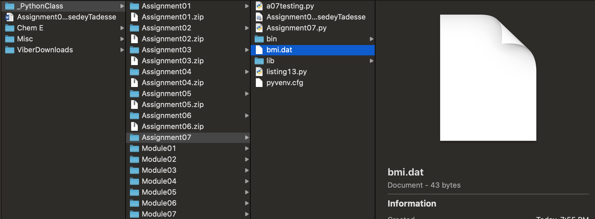 Binary file in the same folder as script